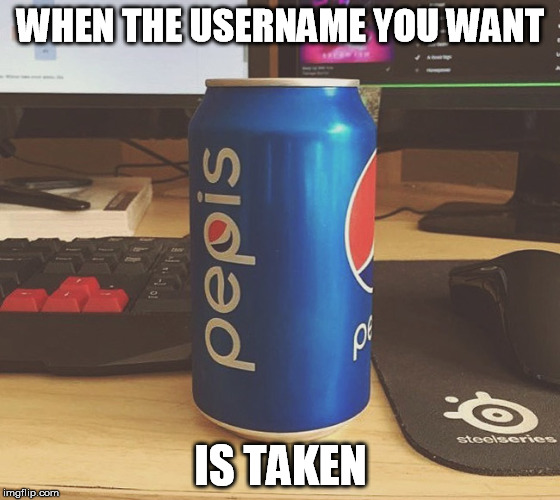 bEbSI | WHEN THE USERNAME YOU WANT; IS TAKEN | image tagged in username,choose,pepsi | made w/ Imgflip meme maker