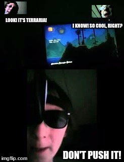 Slender Orca & the Fanatic | LOOK! IT'S TERRARIA! I KNOW! SO COOL, RIGHT? DON'T PUSH IT! | image tagged in funny,collin kunsman,minestar35,youtube,terraria,slender orca | made w/ Imgflip meme maker