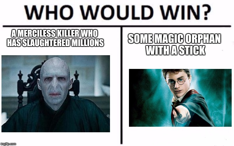 Who Would Win? | SOME MAGIC ORPHAN WITH A STICK; A MERCILESS KILLER WHO HAS SLAUGHTERED MILLIONS | image tagged in who would win | made w/ Imgflip meme maker