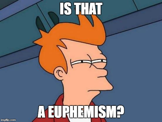 Futurama Fry Meme | IS THAT A EUPHEMISM? | image tagged in memes,futurama fry | made w/ Imgflip meme maker