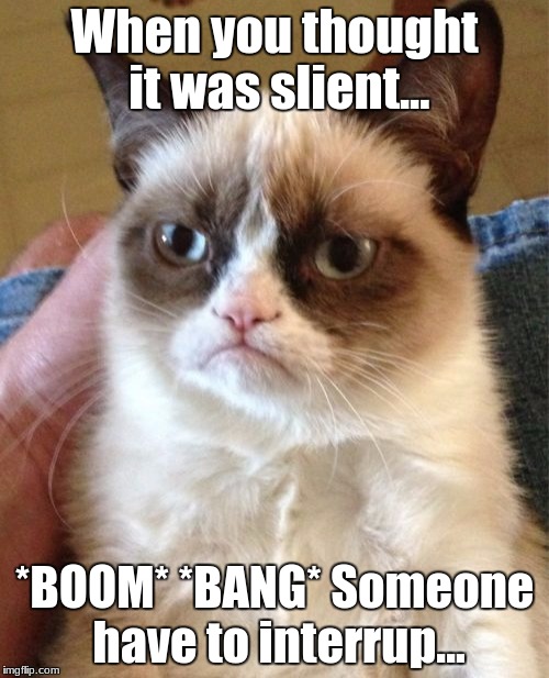 Grumpy Cat | When you thought it was slient... *BOOM* *BANG* Someone have to interrup... | image tagged in memes,grumpy cat | made w/ Imgflip meme maker