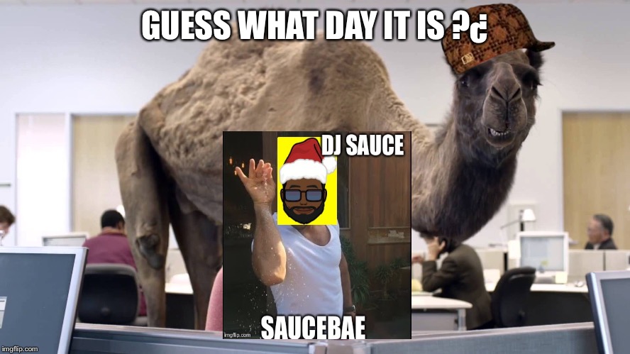 Hump day camel | GUESS WHAT DAY IT IS ?¿ | image tagged in hump day camel,scumbag | made w/ Imgflip meme maker