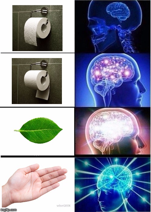 How to properly wipe | image tagged in memes,expanding brain | made w/ Imgflip meme maker