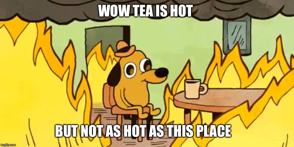 Dog on fire | WOW TEA IS HOT; BUT NOT AS HOT AS THIS PLACE | image tagged in dog on fire | made w/ Imgflip meme maker