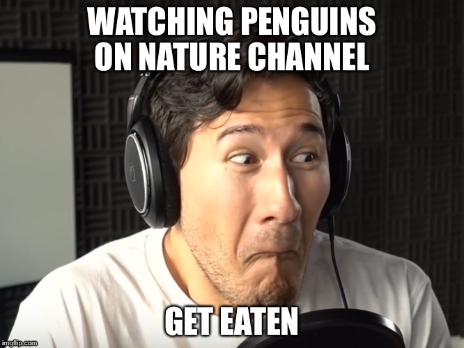  Nice pause 3 | WATCHING PENGUINS ON NATURE CHANNEL; GET EATEN | image tagged in funny | made w/ Imgflip meme maker