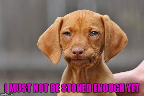 I MUST NOT BE STONED ENOUGH YET | made w/ Imgflip meme maker