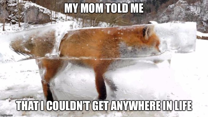 Firefox Frozen | MY MOM TOLD ME; THAT I COULDN’T GET ANYWHERE IN LIFE | image tagged in firefox frozen | made w/ Imgflip meme maker