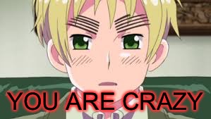 Aph England | YOU ARE CRAZY | image tagged in aph england | made w/ Imgflip meme maker