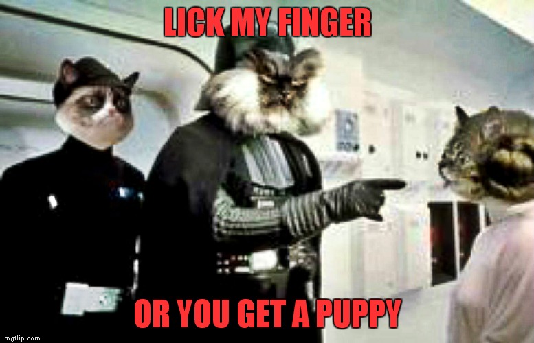 LICK MY FINGER OR YOU GET A PUPPY | made w/ Imgflip meme maker