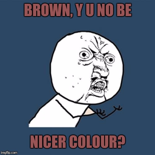 Y U No Meme | BROWN, Y U NO BE NICER COLOUR? | image tagged in memes,y u no | made w/ Imgflip meme maker