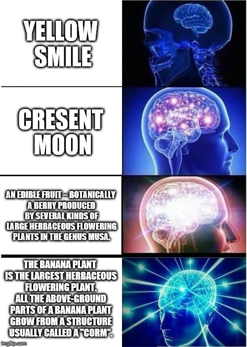 Expanding Brain Meme | YELLOW SMILE; CRESENT MOON; AN EDIBLE FRUIT – BOTANICALLY A BERRY PRODUCED BY SEVERAL KINDS OF LARGE HERBACEOUS FLOWERING PLANTS IN THE GENUS MUSA. THE BANANA PLANT IS THE LARGEST HERBACEOUS FLOWERING PLANT. ALL THE ABOVE-GROUND PARTS OF A BANANA PLANT GROW FROM A STRUCTURE USUALLY CALLED A "CORM". | image tagged in memes,expanding brain | made w/ Imgflip meme maker