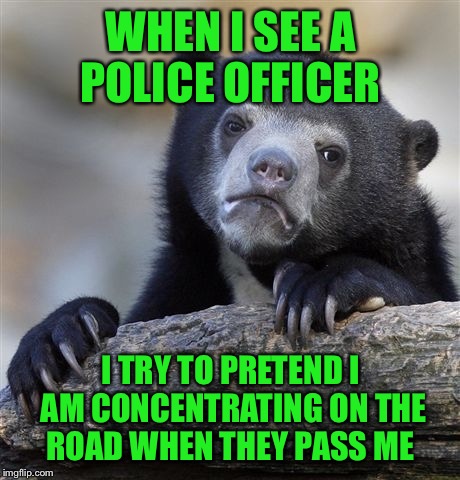 Confession Bear Meme | WHEN I SEE A POLICE OFFICER; I TRY TO PRETEND I AM CONCENTRATING ON THE ROAD WHEN THEY PASS ME | image tagged in memes,confession bear | made w/ Imgflip meme maker