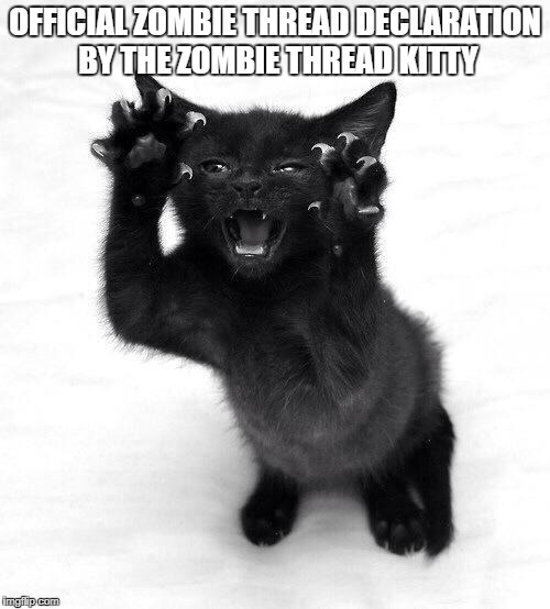 Attack kitten | OFFICIAL ZOMBIE THREAD DECLARATION BY THE ZOMBIE THREAD KITTY | image tagged in attack kitten | made w/ Imgflip meme maker