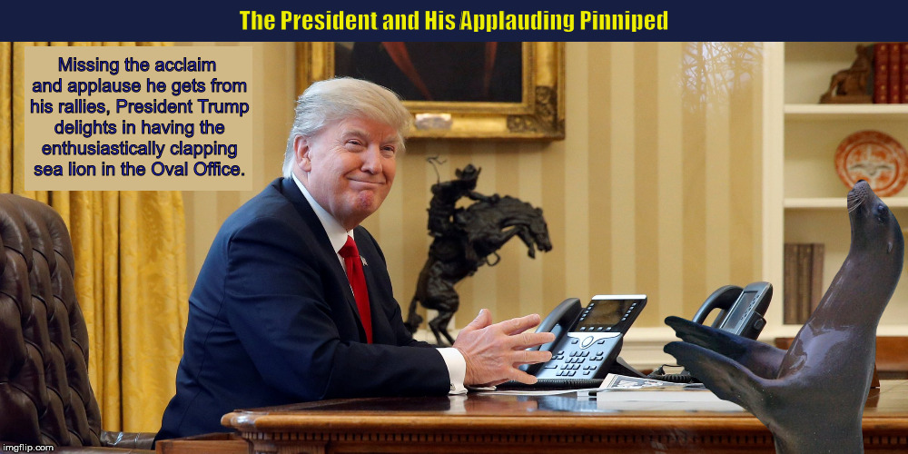The President and His Applauding Pinniped  | image tagged in donald trump,trump,sea lion,oval office,memes,funny | made w/ Imgflip meme maker