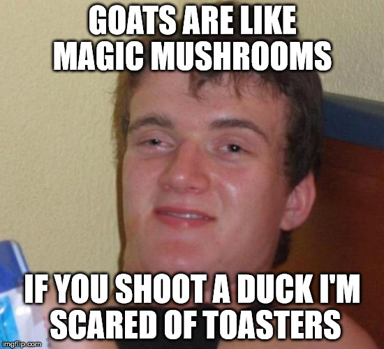 stoned buzzed high dude bro | GOATS ARE LIKE MAGIC MUSHROOMS; IF YOU SHOOT A DUCK
I'M SCARED OF TOASTERS | image tagged in stoned buzzed high dude bro | made w/ Imgflip meme maker