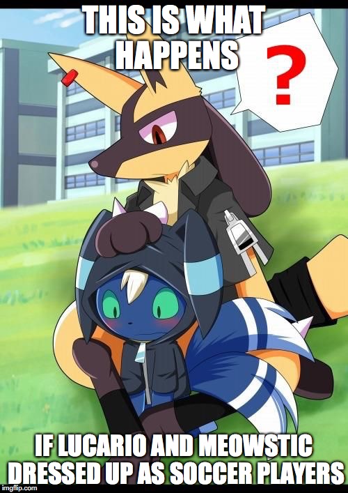 Lucario and Meowstic |  THIS IS WHAT HAPPENS; IF LUCARIO AND MEOWSTIC DRESSED UP AS SOCCER PLAYERS | image tagged in lucario,meowstic,pokemon,memes | made w/ Imgflip meme maker