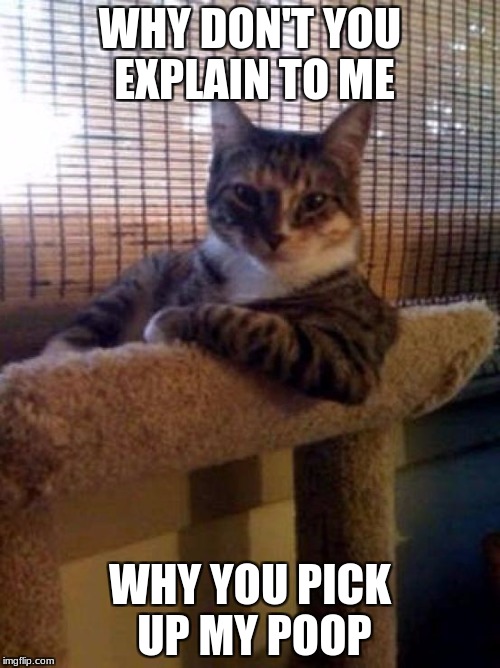 The Most Interesting Cat In The World Meme | WHY DON'T YOU EXPLAIN TO ME; WHY YOU PICK UP MY POOP | image tagged in memes,the most interesting cat in the world | made w/ Imgflip meme maker