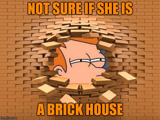 NOT SURE IF SHE IS A BRICK HOUSE | made w/ Imgflip meme maker