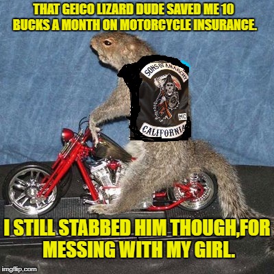 Squirrel Biker | THAT GEICO LIZARD DUDE SAVED ME 10 BUCKS A MONTH ON MOTORCYCLE INSURANCE. I STILL STABBED HIM THOUGH,FOR MESSING WITH MY GIRL. | image tagged in memes,squirrel,motorcycle | made w/ Imgflip meme maker