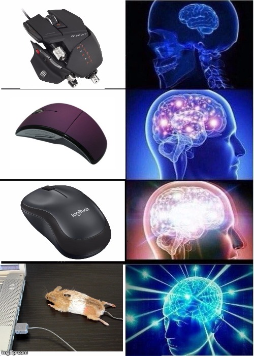 Mouse... | image tagged in memes,mouse | made w/ Imgflip meme maker