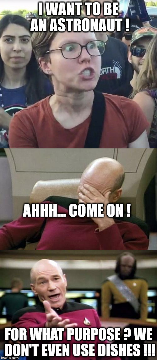 Up in space | I WANT TO BE AN ASTRONAUT ! AHHH... COME ON ! FOR WHAT PURPOSE ? WE DON'T EVEN USE DISHES !!! | image tagged in triggered feminist,star trek,captain picard facepalm,captain picard,captain picard wtf,meme | made w/ Imgflip meme maker