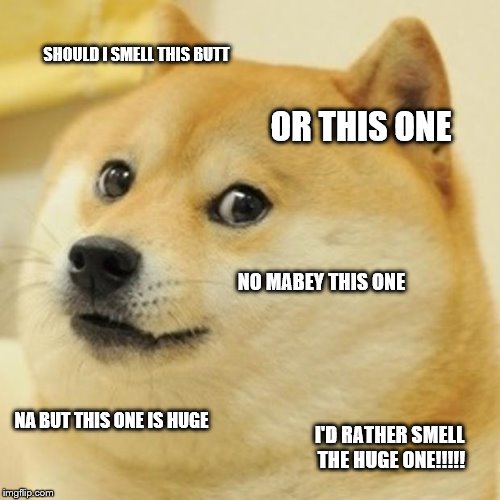 Doge Meme | SHOULD I SMELL THIS BUTT; OR THIS ONE; NO MABEY THIS ONE; NA BUT THIS ONE IS HUGE; I'D RATHER SMELL THE HUGE ONE!!!!! | image tagged in memes,doge | made w/ Imgflip meme maker