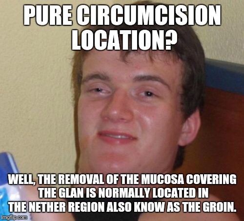 10 Guy Meme | PURE CIRCUMCISION LOCATION? WELL, THE REMOVAL OF THE MUCOSA COVERING THE GLAN IS NORMALLY LOCATED IN THE NETHER REGION ALSO KNOW AS THE GROI | image tagged in memes,10 guy | made w/ Imgflip meme maker