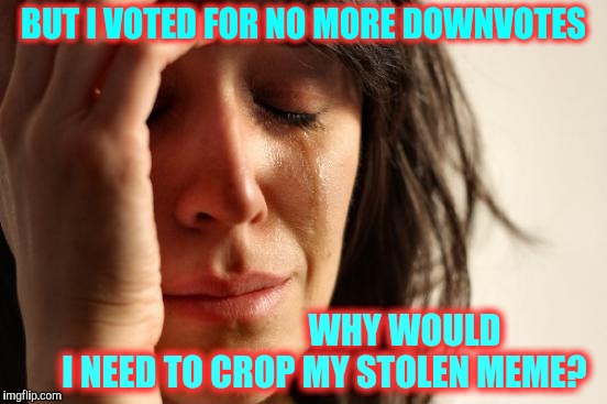 First World Problems Meme | BUT I VOTED FOR NO MORE DOWNVOTES WHY WOULD      I NEED TO CROP MY STOLEN MEME? | image tagged in memes,first world problems | made w/ Imgflip meme maker