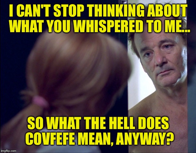 Lost in translation? | I CAN'T STOP THINKING ABOUT WHAT YOU WHISPERED TO ME... SO WHAT THE HELL DOES COVFEFE MEAN, ANYWAY? | image tagged in covfefe,bill murray,scarlett johansson | made w/ Imgflip meme maker