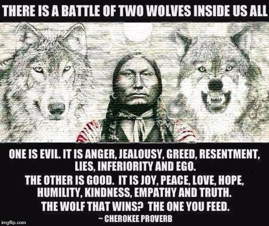 Words of Wisdom Week. A MemefordandSons Event, Dec 16-23 | . | image tagged in cherokee proverb wolves,words of wisdom | made w/ Imgflip meme maker