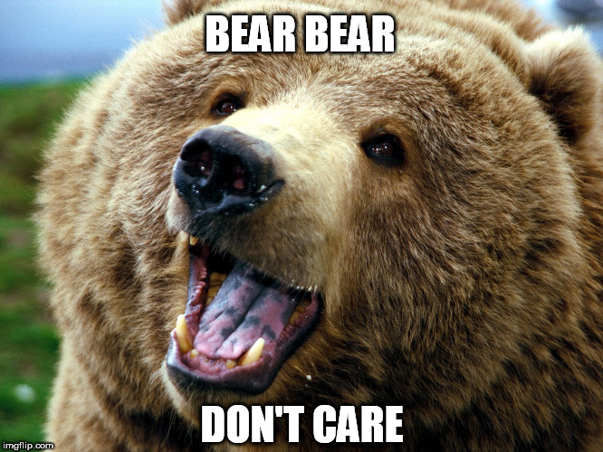 BEAR BEAR; DON'T CARE | image tagged in bear bear | made w/ Imgflip meme maker