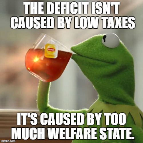 But That's None Of My Business Meme | THE DEFICIT ISN'T CAUSED BY LOW TAXES; IT'S CAUSED BY TOO MUCH WELFARE STATE. | image tagged in memes,but thats none of my business,kermit the frog | made w/ Imgflip meme maker