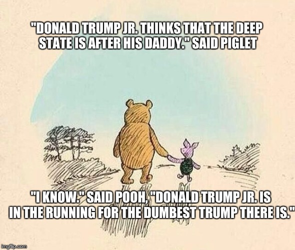 Pooh and Piglet | "DONALD TRUMP JR. THINKS THAT THE DEEP STATE IS AFTER HIS DADDY." SAID PIGLET; "I KNOW." SAID POOH, "DONALD TRUMP JR. IS IN THE RUNNING FOR THE DUMBEST TRUMP THERE IS." | image tagged in pooh and piglet | made w/ Imgflip meme maker