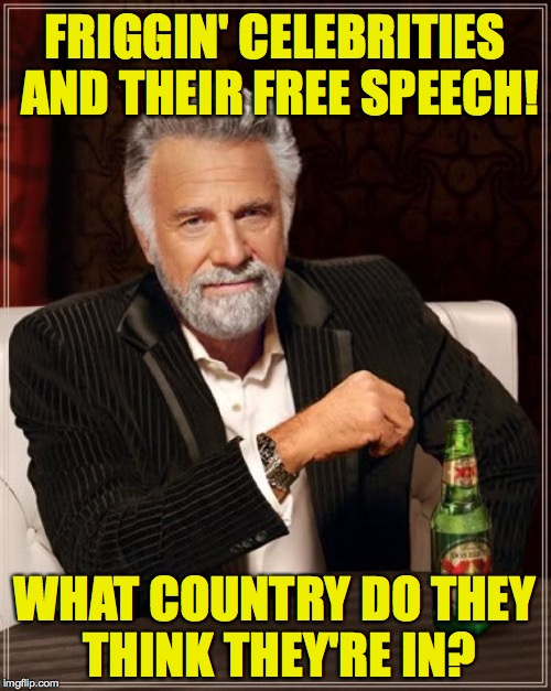 The Most Interesting Man In The World Meme | FRIGGIN' CELEBRITIES AND THEIR FREE SPEECH! WHAT COUNTRY DO THEY THINK THEY'RE IN? | image tagged in memes,the most interesting man in the world | made w/ Imgflip meme maker