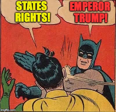 Batman Slapping Robin Meme | STATES RIGHTS! EMPEROR TRUMP! | image tagged in memes,batman slapping robin | made w/ Imgflip meme maker