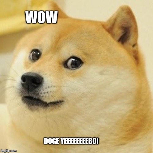 Doge Meme | WOW; DOGE
YEEEEEEEEBOI | image tagged in memes,doge | made w/ Imgflip meme maker