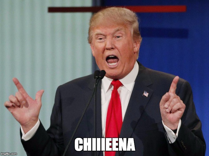 Donald Trump | CHIIIEENA | image tagged in donald trump | made w/ Imgflip meme maker