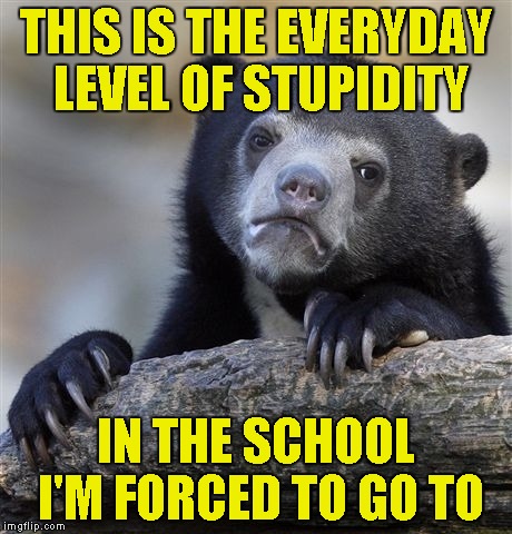 Confession Bear Meme | THIS IS THE EVERYDAY LEVEL OF STUPIDITY IN THE SCHOOL I'M FORCED TO GO TO | image tagged in memes,confession bear | made w/ Imgflip meme maker