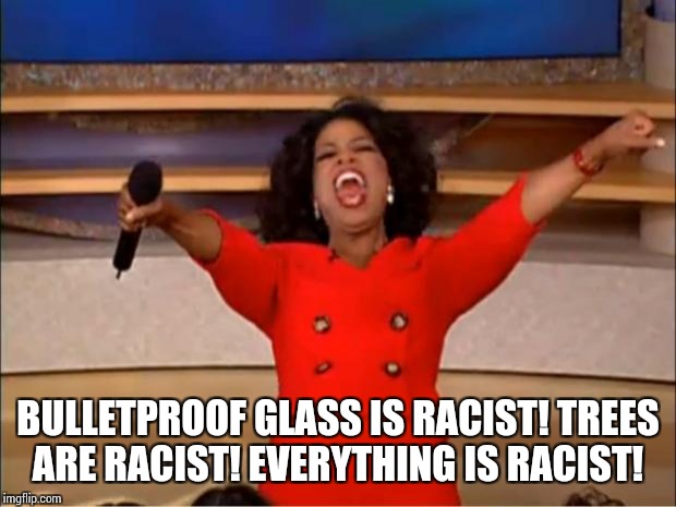 Oprah You Get A | BULLETPROOF GLASS IS RACIST!
TREES ARE RACIST! EVERYTHING IS RACIST! | image tagged in memes,oprah you get a | made w/ Imgflip meme maker