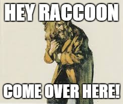 HEY RACCOON COME OVER HERE! | made w/ Imgflip meme maker