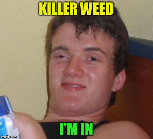 10 Guy Meme | KILLER WEED I'M IN | image tagged in memes,10 guy | made w/ Imgflip meme maker