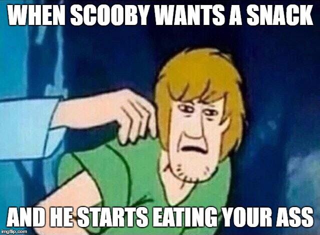 Scooby Doo Shaggy  | WHEN SCOOBY WANTS A SNACK; AND HE STARTS EATING YOUR ASS | image tagged in scooby doo shaggy | made w/ Imgflip meme maker