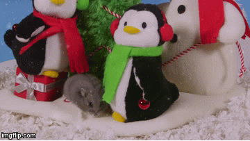 hamsterchristmas | image tagged in gifs,christmas,hamster,animals,funny,cute | made w/ Imgflip video-to-gif maker
