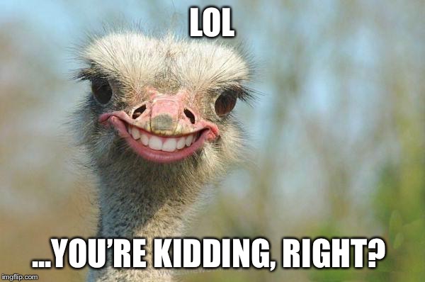 Funny Ostrich | LOL; ...YOU’RE KIDDING, RIGHT? | image tagged in funny ostrich | made w/ Imgflip meme maker