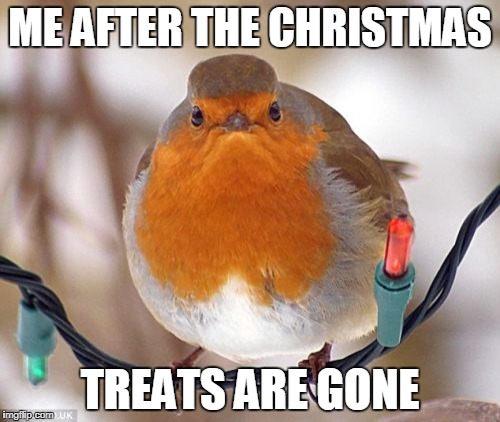 Bah Humbug Meme | ME AFTER THE CHRISTMAS; TREATS ARE GONE | image tagged in memes,bah humbug | made w/ Imgflip meme maker