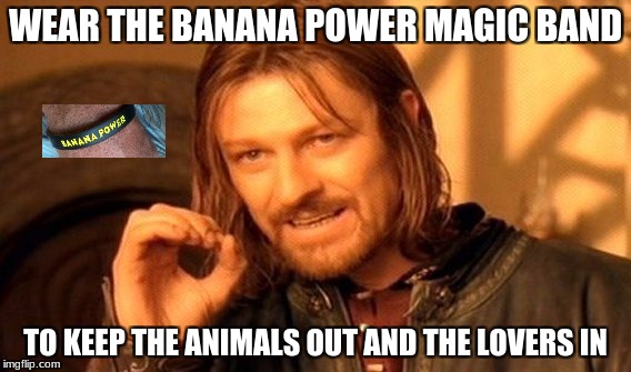 One Does Not Simply Meme | WEAR THE BANANA POWER MAGIC BAND TO KEEP THE ANIMALS OUT AND THE LOVERS IN | image tagged in memes,one does not simply | made w/ Imgflip meme maker