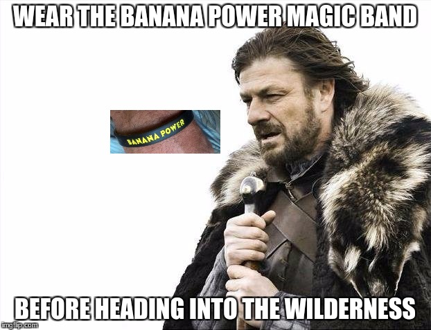 Wilderness Man | WEAR THE BANANA POWER MAGIC BAND; BEFORE HEADING INTO THE WILDERNESS | image tagged in banana power | made w/ Imgflip meme maker