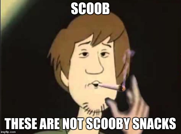 Shaggy joint | SCOOB; THESE ARE NOT SCOOBY SNACKS | image tagged in shaggy joint | made w/ Imgflip meme maker
