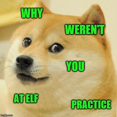 Doge Meme | WHY; WEREN'T; YOU; AT ELF; PRACTICE | image tagged in memes,doge | made w/ Imgflip meme maker