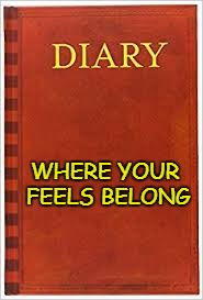 I would be embarrassed to even have the thoughts in my head that you post on facebook. | WHERE YOUR FEELS BELONG | image tagged in dear diary | made w/ Imgflip meme maker